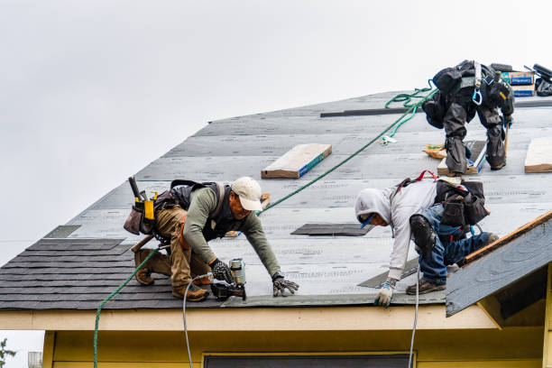 Professional Flat Roof Repair technician working in Hollis, NY